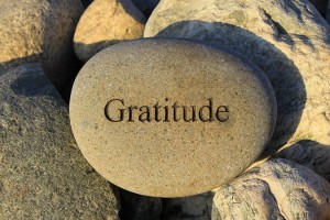 Gratitude Circle Studies Ruth - The Cost of Loyalty @ Niskayuna Reformed Church - Room 104